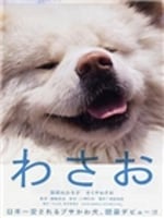 秋田犬蓬夫