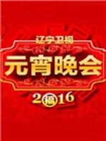 2016辽宁卫视元宵晚会