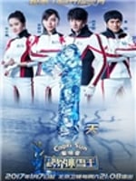 跨界冰雪王(2017)