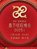 2025央视春节联欢晚会