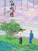 山楂树之恋2010