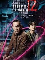 刑侦12 国语版的海报图片
