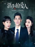 消失的爱人2025的海报图片