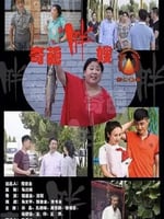 奇葩胖嫂的海报图片