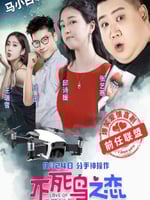 不死鸟之恋的海报图片