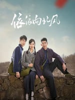 依依向北风的海报图片