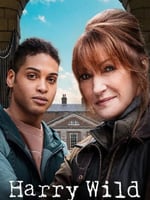 野探哈莉 第二季