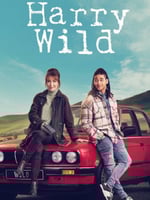 野探哈莉 第三季