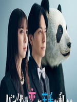 比熊猫更不擅长恋爱的我们