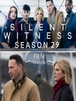 无声的证言 第二十九季