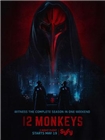 十二猴子[第三季]