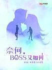 奈何BOSS又如何