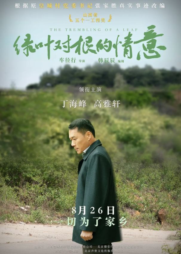 绿叶对根的情意