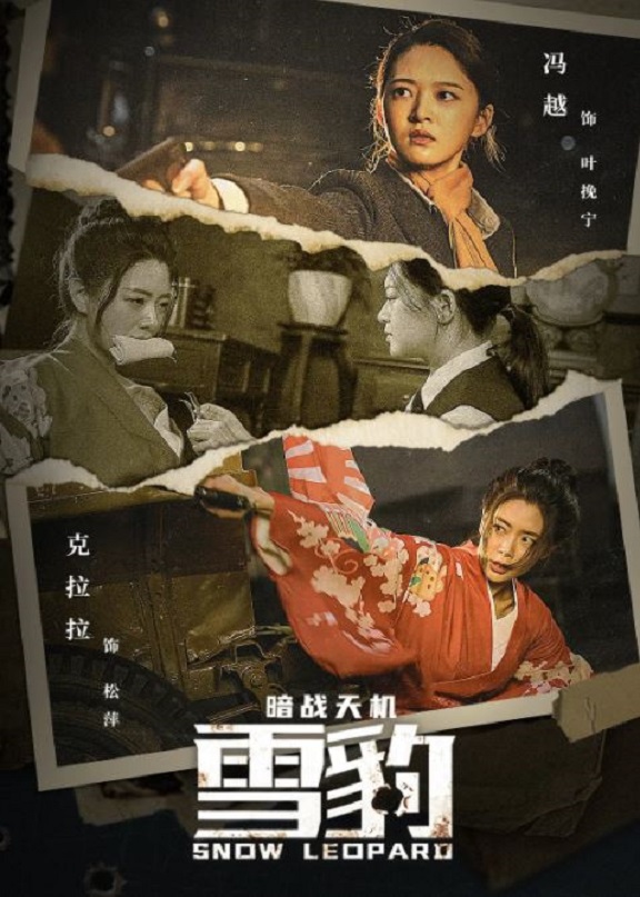 雪豹之暗战天机