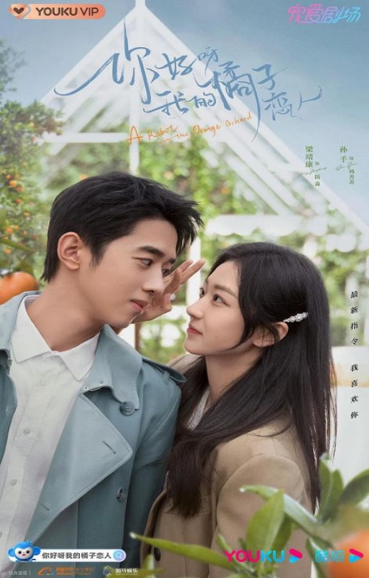你好呀，我的橘子恋人