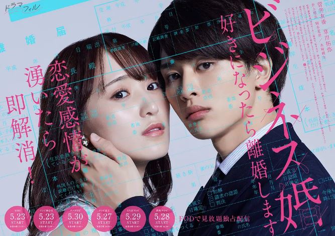 商业婚姻—喜欢上了就离婚