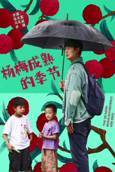 杨梅成熟的季节