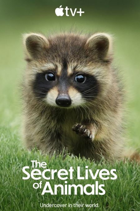 动物的秘密生活