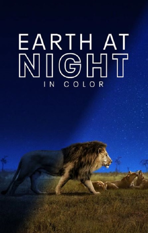 夜色中的地球 第一季