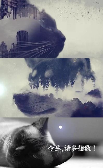 今生，请多指教 第二季