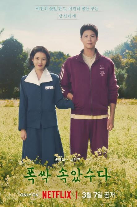 苦尽柑来遇见你