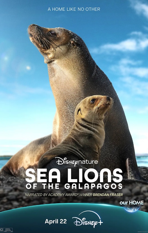 海狮利奥环岛记