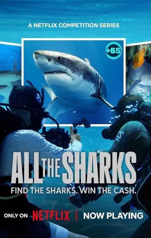 众里寻鲨：拍摄大作战