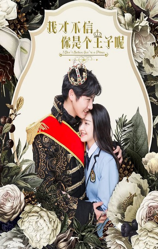 我才不信你是个王子呢